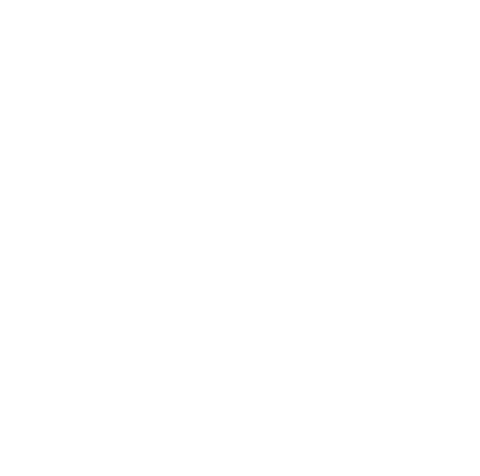 transparent spider web illustration isolated for nature and wildlife concepts - Download Free Stock Videos Pikwizard.com