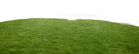 Lush Green Grass on Field with Transparent Background Vector - Download Free Stock Videos Pikwizard.com