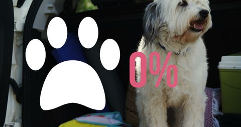 Adopt a Shelter Pet Awareness with Paw Icon and Happy Dog