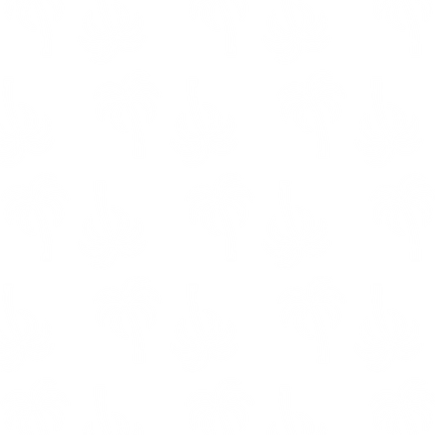 seamless white palm tree pattern on transparent background - Download Free Stock Videos Pikwizard.com