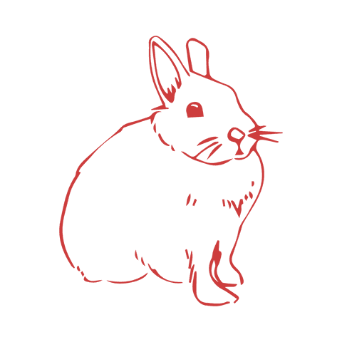 red bunny outline illustration on transparent background - Download Free Stock Videos Pikwizard.com
