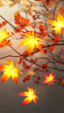 Swaying Orange Maple Leaves Drifting in Wind with Warm Light Particles Vertical Autumn Loop