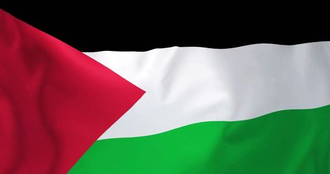 Palestine Flag Waving in the Wind with Middle Eastern Context