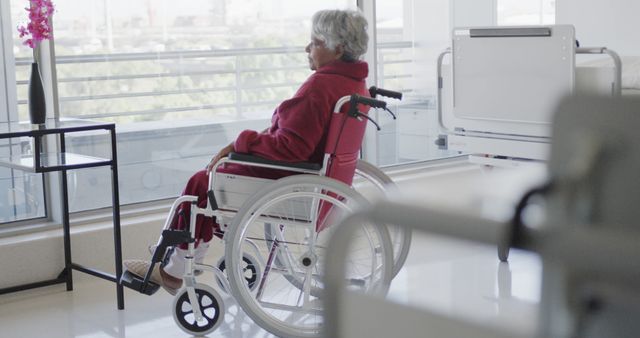 Senior Woman in Wheelchair Looking out Hospital Window - Download Free Stock Images Pikwizard.com