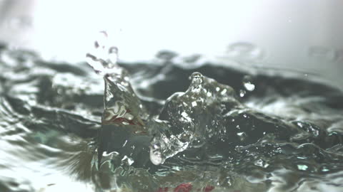 Raspberries Falling in Water with Splash Effect