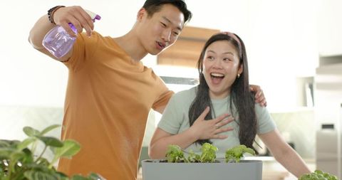 Asian couple caring for kitchen herb garden, man misting planter, joyful home gardening