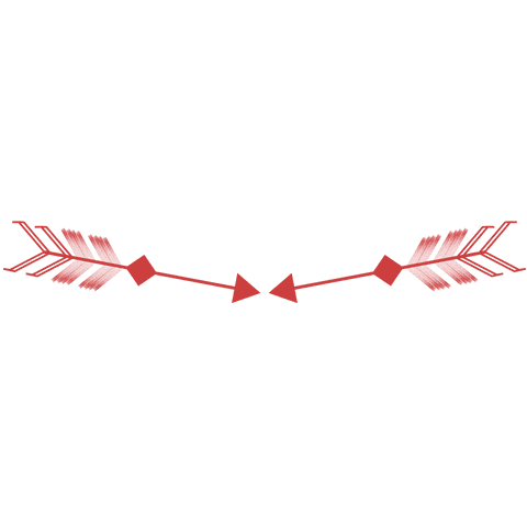 Red Arrows Emblem Design on Transparent Background - Download Free Stock Videos Pikwizard.com