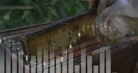 Beekeeper Analyzing Hive Infused with Business Investment Data