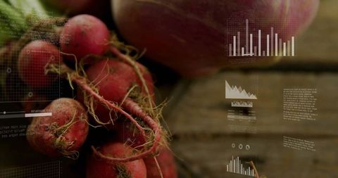 Close-up Rustic Radish Bunch with Soil and Agritech Data Overlays for Farm Innovation