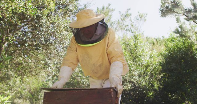 Beekeeper in yellow suit and protective gear inspecting wooden beehive in a sunny forest. Suitable for concepts involving beekeeping, environmental sustainability, outdoor activities, honey production, and conservation of nature.