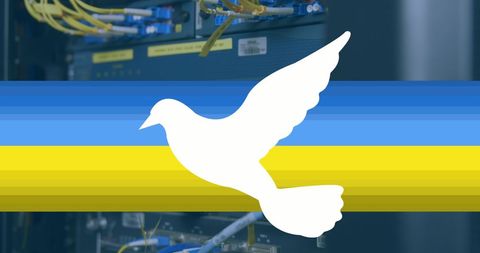 White Dove Symbolizing Peace over Ukrainian Flag Colors with Technology Background