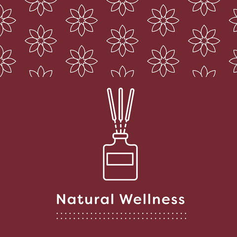 Natural Wellness Theme with Floral Elegance on Transparent Background - Download Free Stock Videos Pikwizard.com