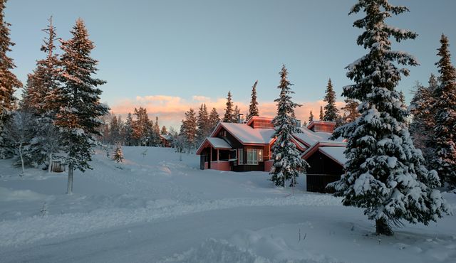 Cabin surrounded by snow-covered trees during sunset, casting a warm glow over winter landscape. Suitable for use in travel promotions, winter getaways advertisements, holiday season marketing materials, and nature appreciation campaigns.