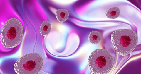 Digital Illustration of Red and Pink Cells on Abstract Background