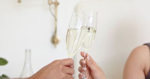 Diverse women clinking champagne flutes, celebrating friendship with intimate home toast