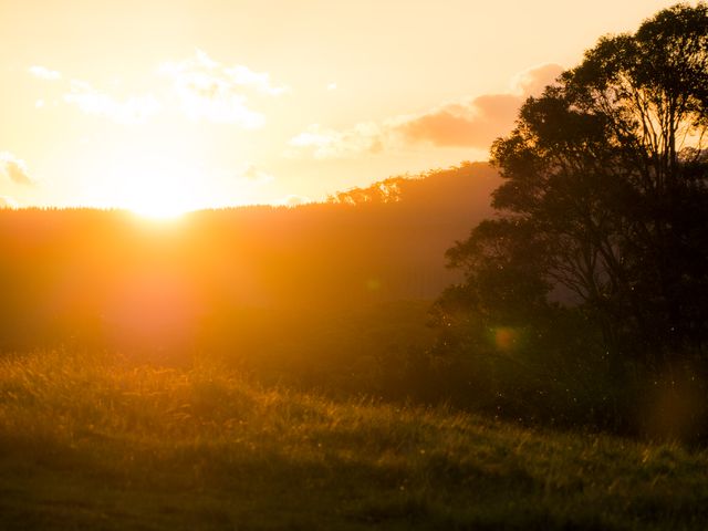 Image of golden sun setting behind mountains with trees and greenery in foreground. Ideal for promoting nature conservation, depicting peaceful environments, or evoking warm, serene feelings.