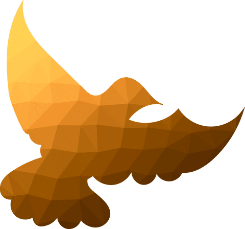 transparent bird silhouette with geometric design - Download Free Stock Videos Pikwizard.com