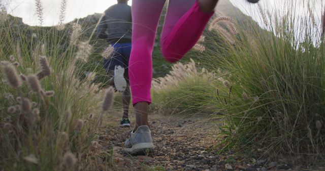 Joggers running on trail through scenic grassy terrain - Download Free Stock Images Pikwizard.com