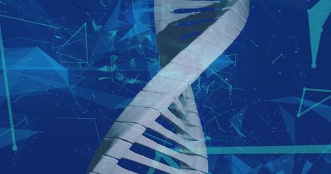 Spinning DNA Strand with Futuristic Network Background - Download Free Stock Images Pikwizard.com