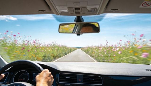 Driving through wildflower-lined country road with male driver gripping steering wheel