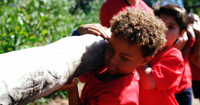 Children Collaborating Outdoors Carrying Log - Download Free Stock Images Pikwizard.com