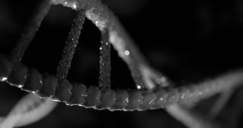 Close-Up of DNA Double Helix in Monochrome