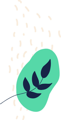 Mint green element with navy leaf on transparent background