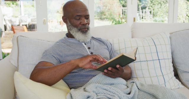 Elderly Man Relaxing on Couch at Home Reading Book - Download Free Stock Images Pikwizard.com