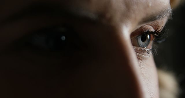 Close-up of woman eye on dark background