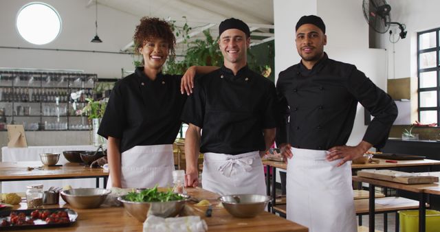 Smiling chefs standing in modern kitchen with arms around each other - Download Free Stock Images Pikwizard.com