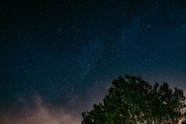 Starry Night Sky Above Silhouetted Tree Line - Download Free Stock Photos Pikwizard.com