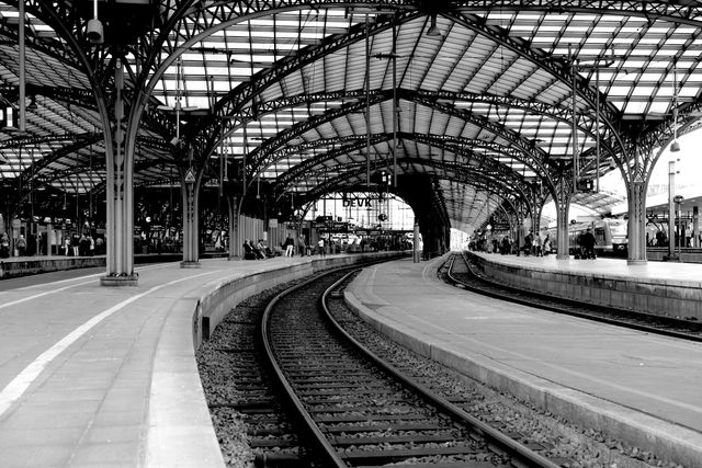 Depicts a vintage train station with curved tracks and a steel-arched roof in black and white. Useful for themes involving travel, history, architecture, infrastructure, and public transportation. Great for website banners, travel blogs, magazines, and educational materials about the evolution of transportation.