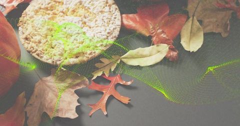 Resting crispbread with dried autumn leaves and neon green digital wave overlay