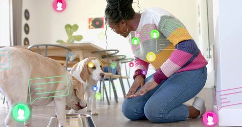 Kneeling woman interacting with pet beagles in bright kitchen with augmented reality overlays