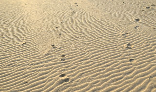 Footprints on Rippling Desert Sand at Sunrise - Download Free Stock Photos Pikwizard.com