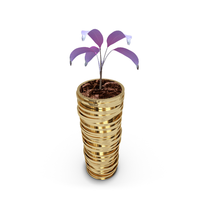 Gold Coins Flower Pot with Plant Growing on Transparent Background Concept Illustration - Download Free Stock Videos Pikwizard.com