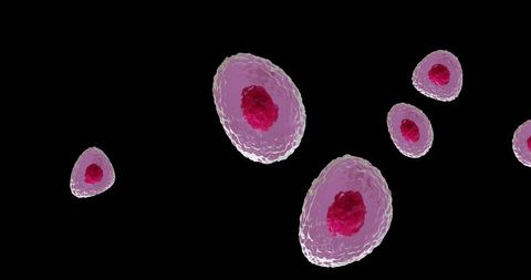 Illustration of Red and Pink Cells on Black Background - Download Free Stock Images Pikwizard.com