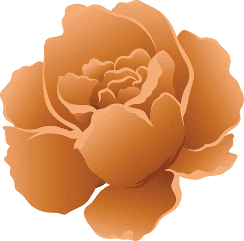 Elegant Orange Flower Illustration on Transparent Background