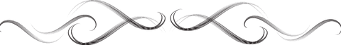 Elegant Black Decorative Pattern on Transparent Background - Download Free Stock Videos Pikwizard.com