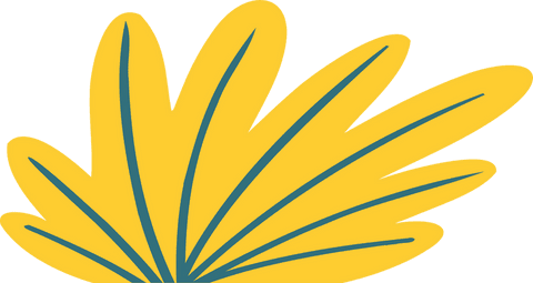 Abstract floral design with transparent background and teal outlines