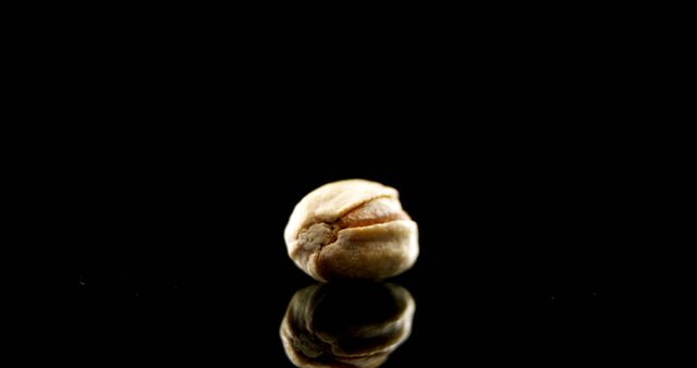 Close Up of Single Coffee Bean on Reflective Surface - Download Free Stock Images Pikwizard.com