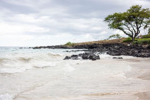 Serene Tropical Beach with Black Lava Rocks, Gentle Waves and Windblown Trees under Gray Sky