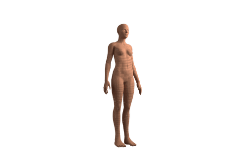 Digital Woman Silhouette on Transparent Background - Download Free Stock Videos Pikwizard.com