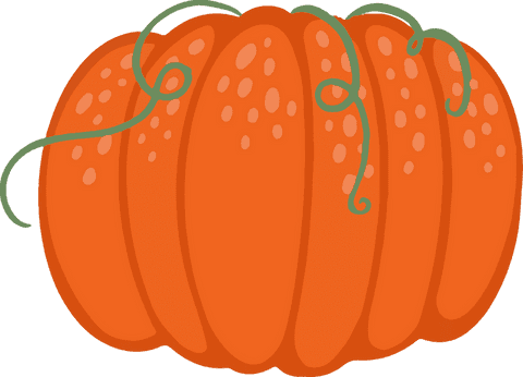 vibrant whimsical pumpkin with curling tendrils transparent - Download Free Stock Videos Pikwizard.com