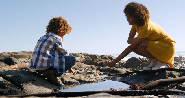 Mother and Child Exploring Tide Pools on Rocky Coastline - Download Free Stock Images Pikwizard.com