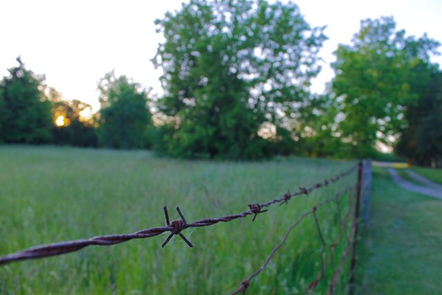 Close-up view of a barbed wire fence extending into a green rural field during sunrise. Sunlight gently illuminates the field and trees in the background, creating a serene countryside scene. Ideal for use in content about rural landscapes, farming, nature photography, and pastoral or rustic themes.