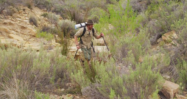 Caucasian male survivalist trekking through wilderness with backpack and walking poles - Download Free Stock Photos Pikwizard.com