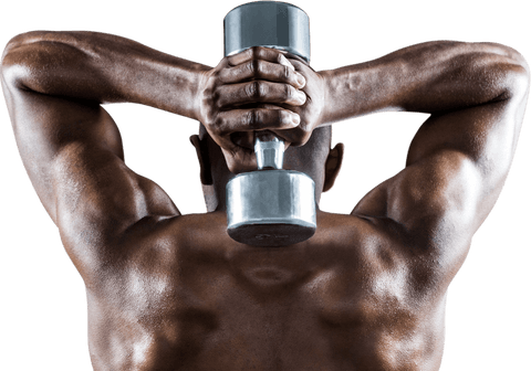Transparent Rear View Muscular Man Lifting Dumbbell Behind Head
