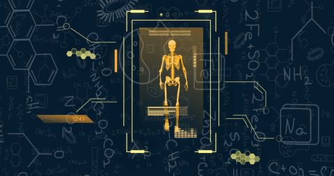 Digital Interface with Skeleton and Scientific Equations