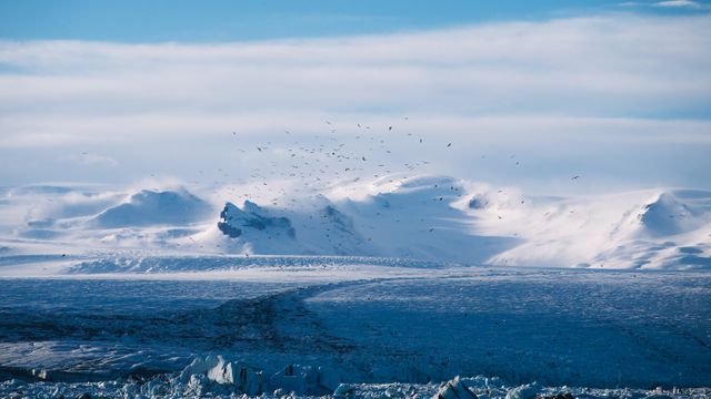 Birds are soaring over a vast, snow-covered landscape with mountains in the background under a clear sky. The scene captures the harsh yet beautiful peace of nature. This image is suitable for use in environmental articles, travel blogs, or backgrounds emphasizing remote, pristine wilderness and the grandeur of untouched natural settings.